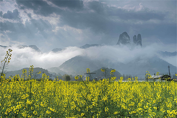 江郎山风景名胜区第 61 张图片