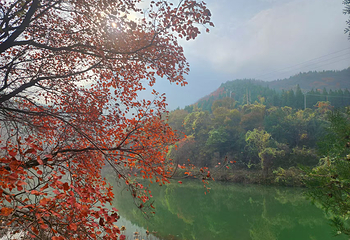 青龙山慈云寺第 34 张图片