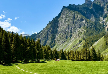 南山牧场西白杨沟景区第 18 张图片
