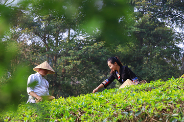 西双版纳茶马古道景区第 24 张图片