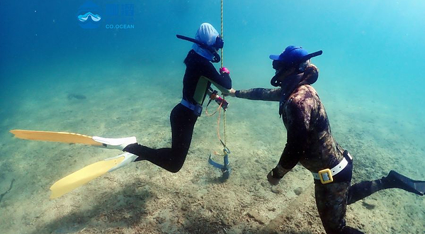 椰潜潜水海洋运动