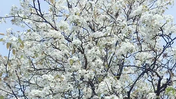 北欧小镇旅游度假区