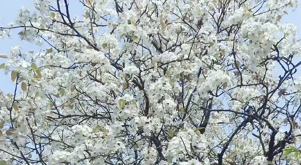 北欧小镇旅游度假区