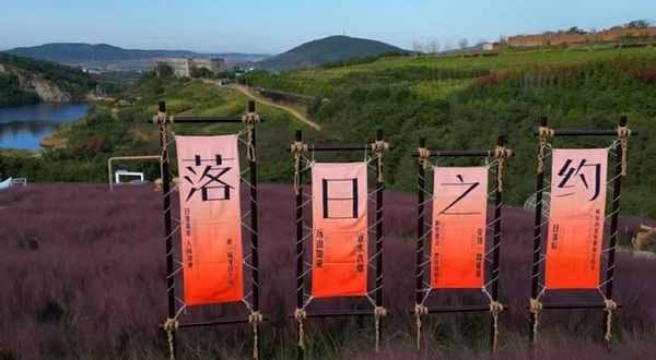 石河东沟粉黛花田