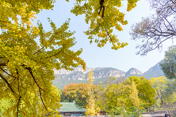 灵岩寺第 14 张图片