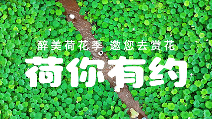 峰林晓镇第 1 张图片