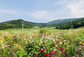 中旅松花湖滑雪场第 26 张图片