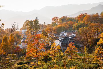 塔川第 9 张图片