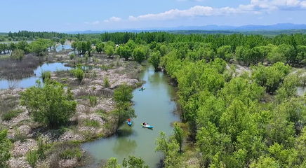那水乡水上青荷旅游度假区第 2 张图片