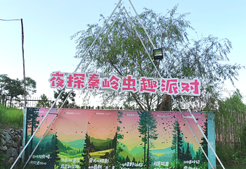 拾光山谷第 1 张图片