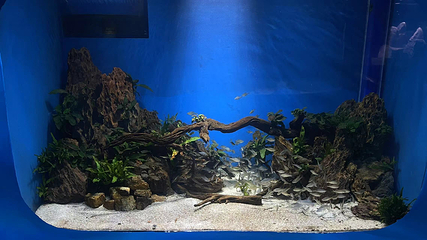 浙东淡水鱼馆第 5 张图片