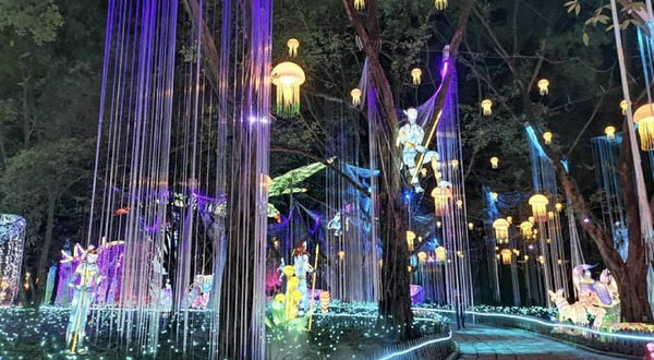 桂平西山泉迎春灯展