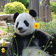 大连森林动物园