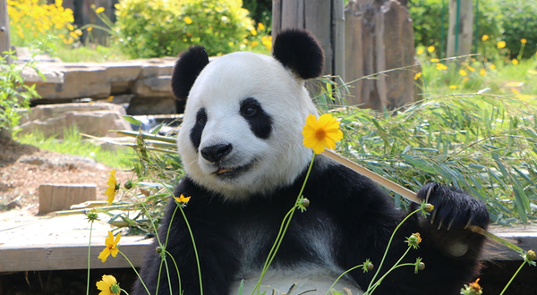 大连森林动物园