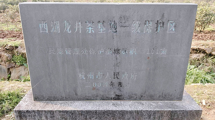 西湖龙井·灵隐茶园第 2 张图片