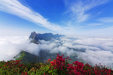 灵山风景区第 65 张图片