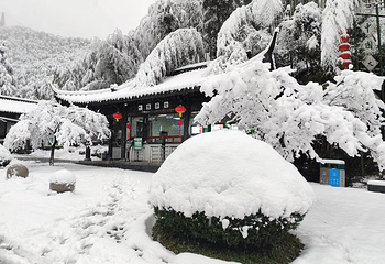 中国大竹海景区第 41 张图片