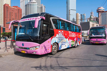 大连旅游观光巴士第 6 张图片
