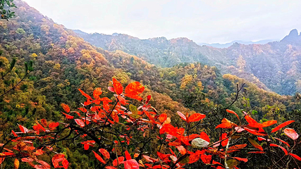 亢家寨风景区第 32 张图片