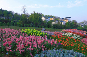 天坪山云林天乡