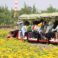 中宁县丰安屯文化生态园