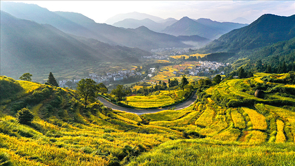 江岭景区第 18 张图片