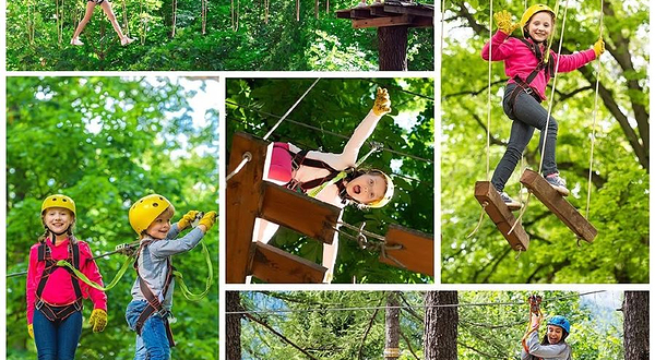 伊斯坦布尔凯梅尔弗拉斯森林