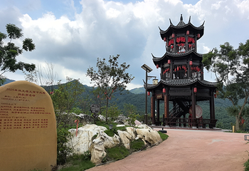 茶趣园第 42 张图片