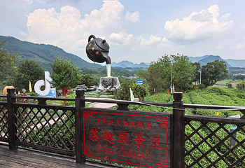 茶趣园第 37 张图片