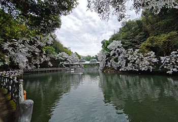 双龙沟第 72 张图片