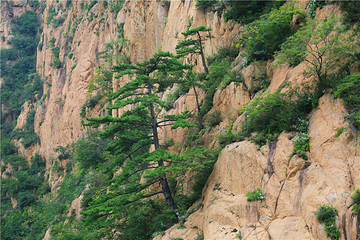 圣顶山旅游度假区第 33 张图片