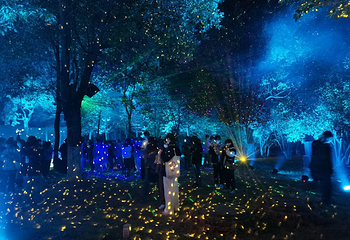 绿点花花世界第 14 张图片