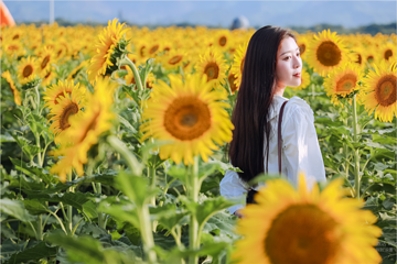 下渚湖·湿地公园第 48 张图片