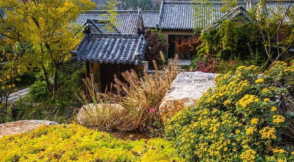 尼山书院百花谷