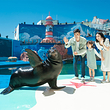 海合安青岛极地海洋公园