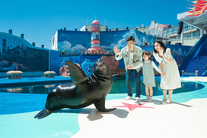 海合安青岛极地海洋公园