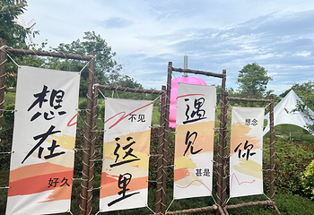 海花岛珍奇特色植物园第 3 张图片