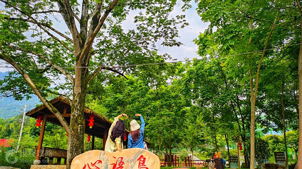 心语岛 · 梦幻秘境第 8 张图片