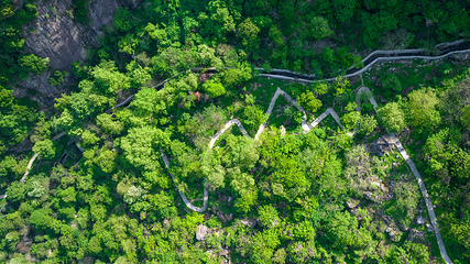翠华山·秦岭终南山世界地质公园第 56 张图片