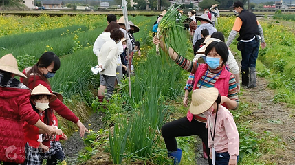 葱宝宝体验农场第 8 张图片
