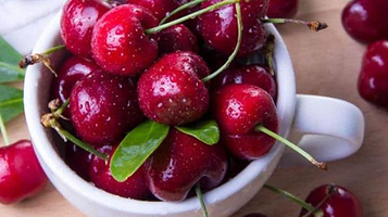 大兵樱桃采摘园