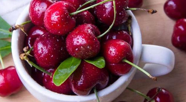 大兵樱桃采摘园