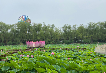 岐山湖风景区第 34 张图片