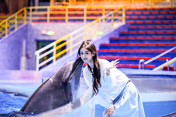 海合安武汉极地海洋公园第 104 张图片