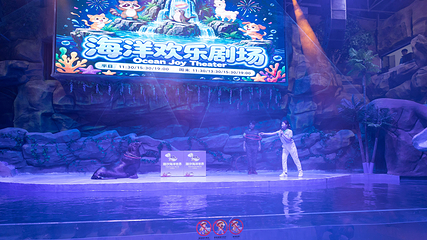 东莞隐贤山庄·潮汐海洋世界第 12 张图片