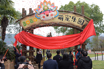 杭州千岛湖开元森泊焕境乐园第 20 张图片