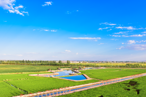 市外淘园生态农业观光园