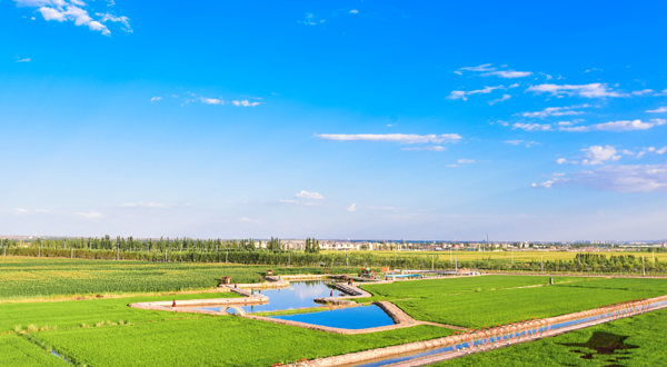 市外淘园生态农业观光园