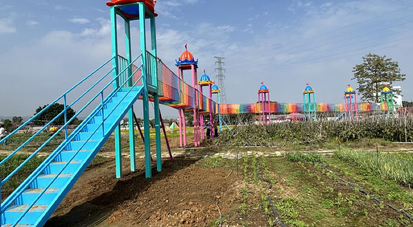 闽宝萌宠大世界