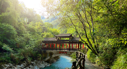 巴山大峡谷第 40 张图片